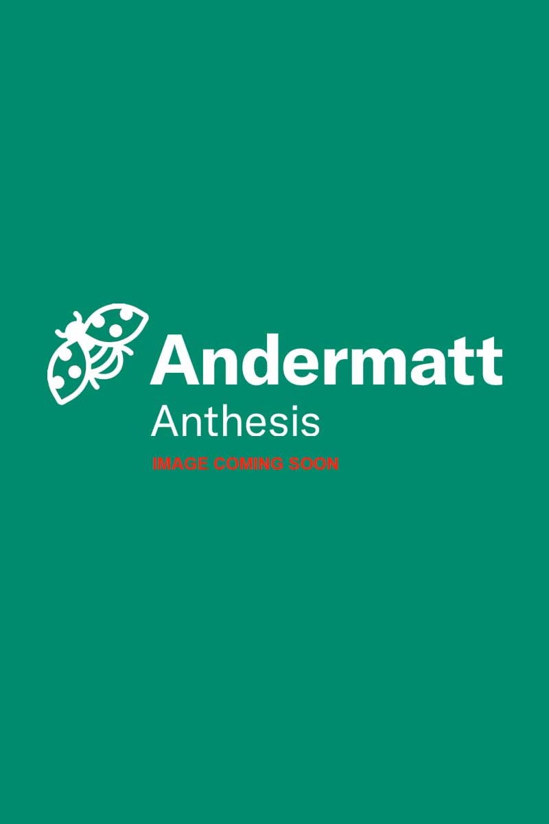 image-coming-soon-2 Κολλώδεις Πάτοι - Image 1