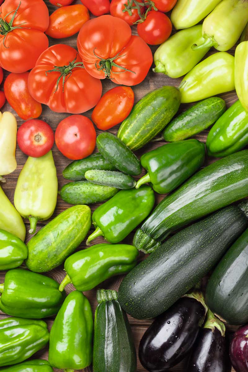 Bioplantella_Tomato Bioplantella Tomato - Image 1