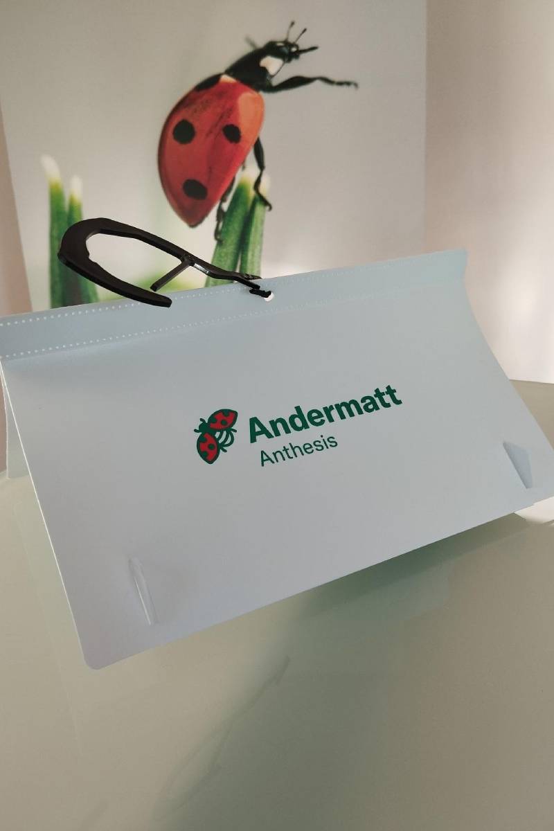 Delta trap Delta Trap - Image 1