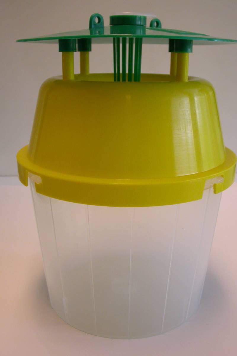 Funnel Trap Funnel Trap - Image 1