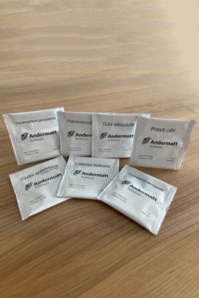 eidika-proselkystika Φερομόνες Παρακολούθησης - Image 1