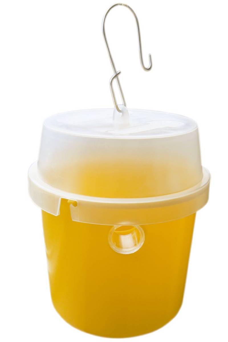 Παγίδα δίπτερων Diptera Traps - Image 1