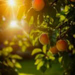 Cutisan (Αντιγραφή)